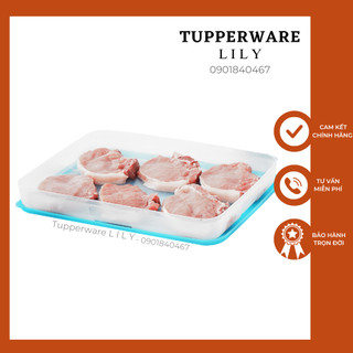 Hộp Trữ Đông Freezermate 1.2L Tupperware