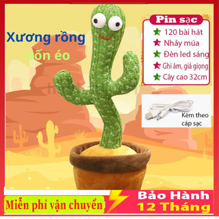  Cây xương Rồng Nhảy Múa Vui Nhộn Phát Nhạc Xương Rồng Biết Nhại Siêu Hót 