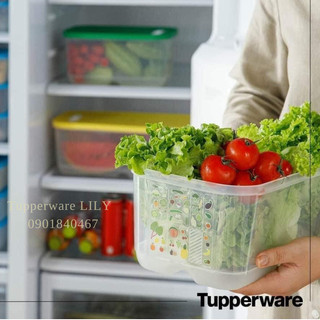 Hộp trữ mát Vensmart 4.4L - Tupperware