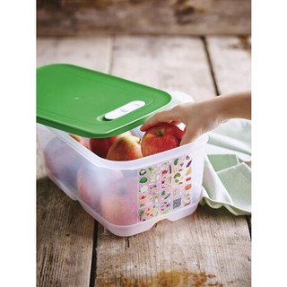 Hộp trữ mát Vensmart 4.4L - Tupperware