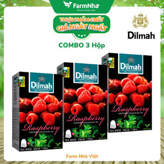 Trà dilmah raspberry vị mâm xôi túi lọc 30g 20 túi x 1.5g - tinh hoa trà sri lanka