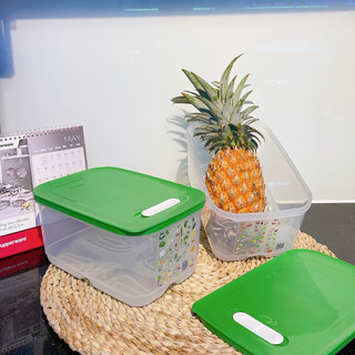 Hộp trữ mát Vensmart 4.4L - Tupperware