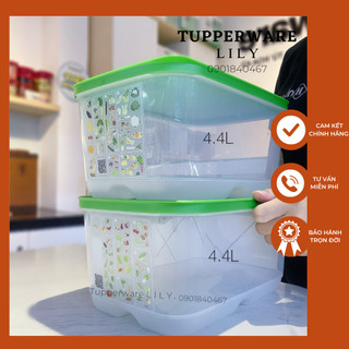 Hộp trữ mát Vensmart 4.4L - Tupperware