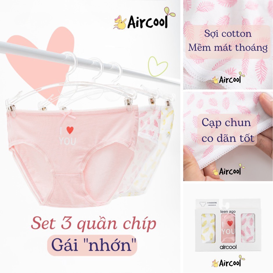 Quần chip tam giác Aircool cho bé gái  từ 6-15t