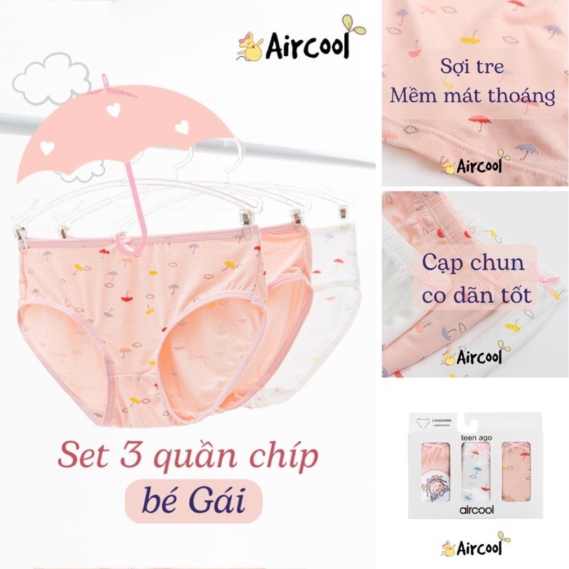 Quần chip tam giác Aircool cho bé gái  từ 6-15t