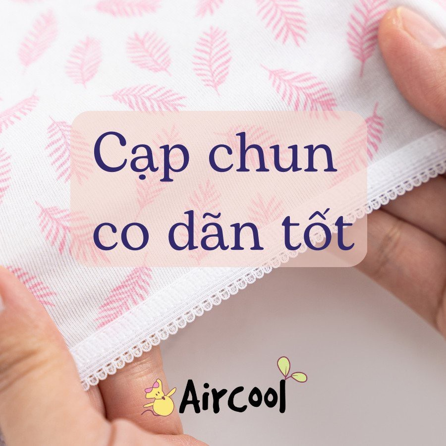 Quần chip tam giác Aircool cho bé gái  từ 6-15t