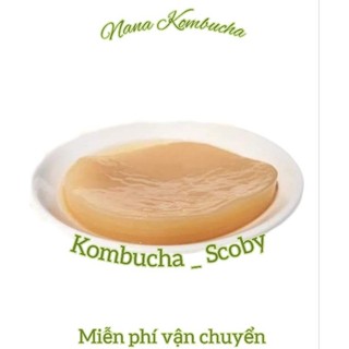 Nấm Scoby/Kombucha Mỏng Kèm Nước Mồi Làm Trà Kombucha< Có Hướng Dẫn Chi Tiết>