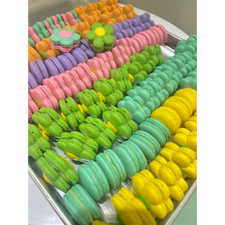 FLORAL FRENCH MACARON (Hộp 8 Bánh)