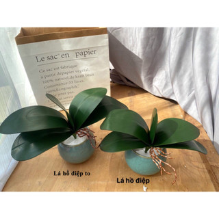 Lá lan 🌺 lá hồ điệp chất liệu cao su