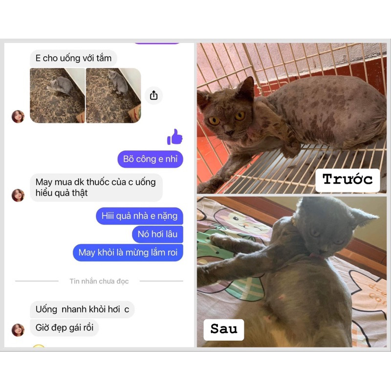 Viên nhai Triịi Nấm Chó Mèo. Không cần tắm, không cần cạo lông