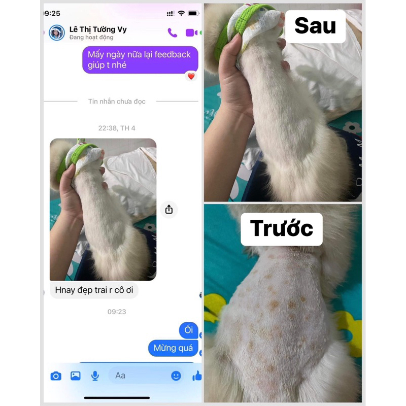 Viên nhai Triịi Nấm Chó Mèo. Không cần tắm, không cần cạo lông