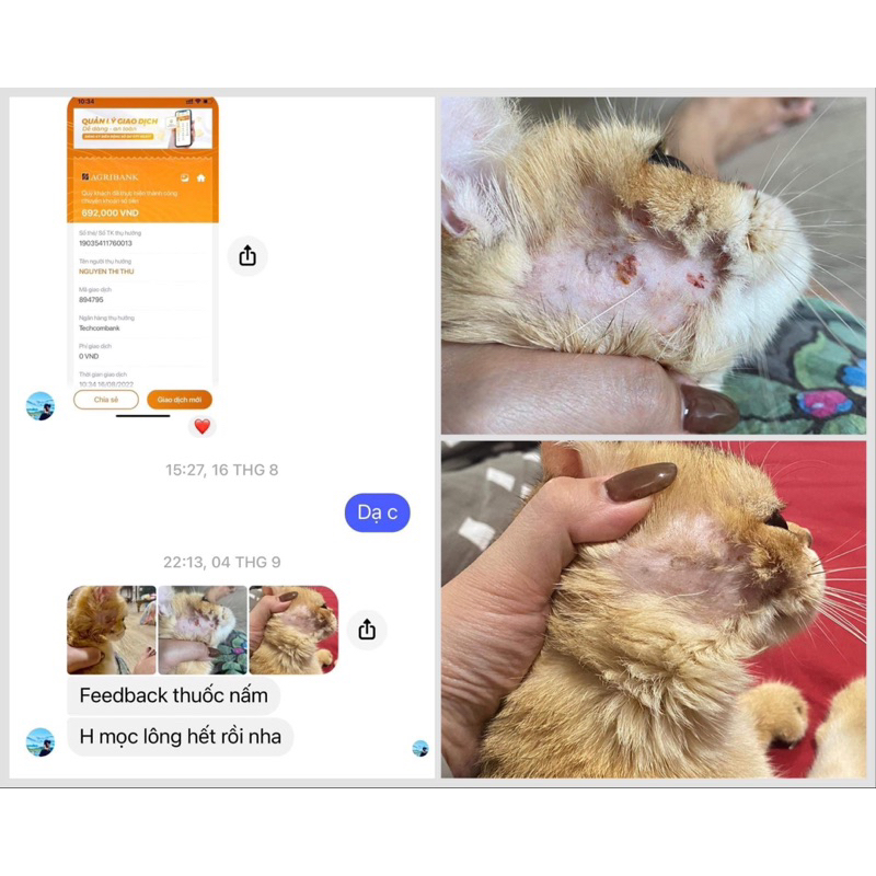 Viên nhai Triịi Nấm Chó Mèo. Không cần tắm, không cần cạo lông