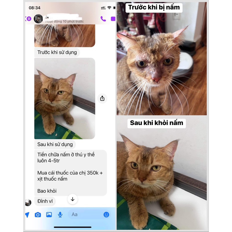 Viên nhai Triịi Nấm Chó Mèo. Không cần tắm, không cần cạo lông