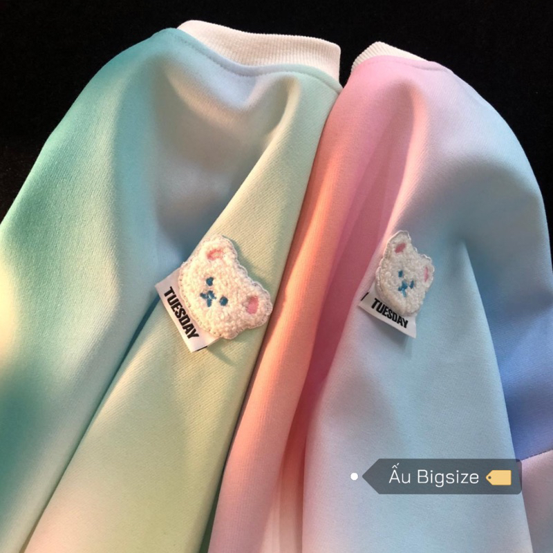 Áo thun loang dài tay THÊU HÌNH GẤU dễ thương Super Bigsize đến 150kg