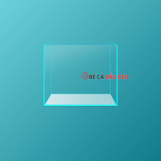 Bể cá mini cubic 20 việt nhật