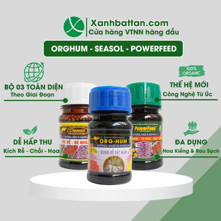 Combo Bộ Ba Kích Rễ - Kích Chồi - Kích Hoa Seasol - Org Hum - Powerfeed