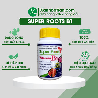Phân Bón Lá Super Root B1 Kích Rễ - Kích Mầm - Giữ Hoa Lâu Tàn Cho Lan, Hoa Hồng, Hoa Kiểng