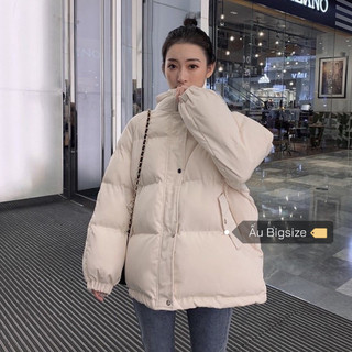 [ẤU BIGSIZE - CÓ SẴN - SALE TRÁI MÙA] Áo phao dáng ngắn Bigsize đến 90kg