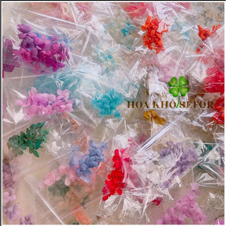 Cẩm tú cầu khô - set 15 bông hoa tú cầu khô làm handmade, nến thơm, sáp thơm