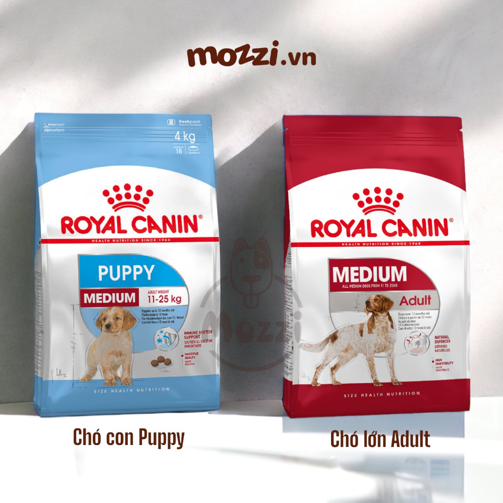 Royal canin Medium Puppy Adult Thức ăn hạt cho chó kích thước trung bình