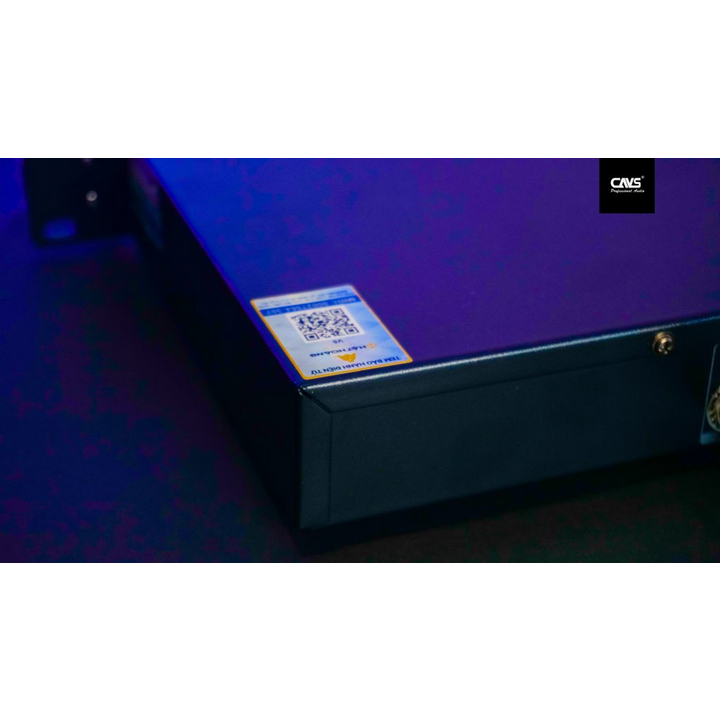 Micro không dây CAVS V5