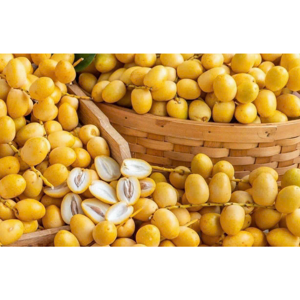 CHÀ LÀ TƯƠI - thanhfruittraicaynhapkhauQ12=> HÀNG MỚI VỀ