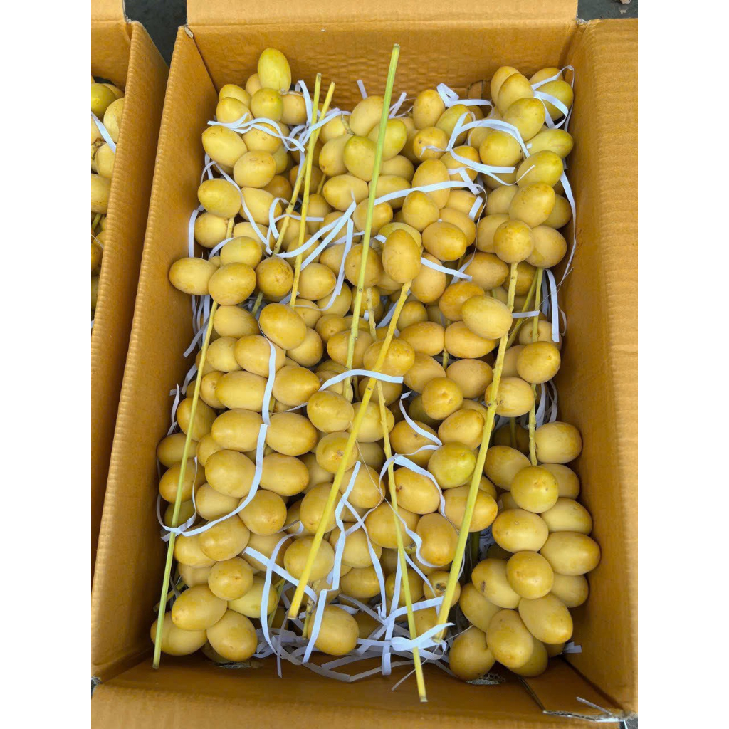CHÀ LÀ TƯƠI - thanhfruittraicaynhapkhauQ12=> HÀNG MỚI VỀ