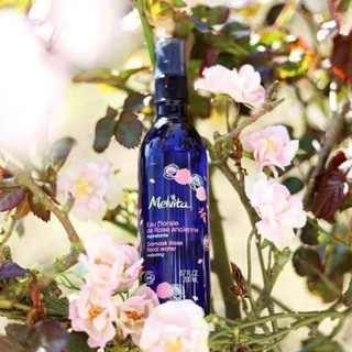 Toner melvita