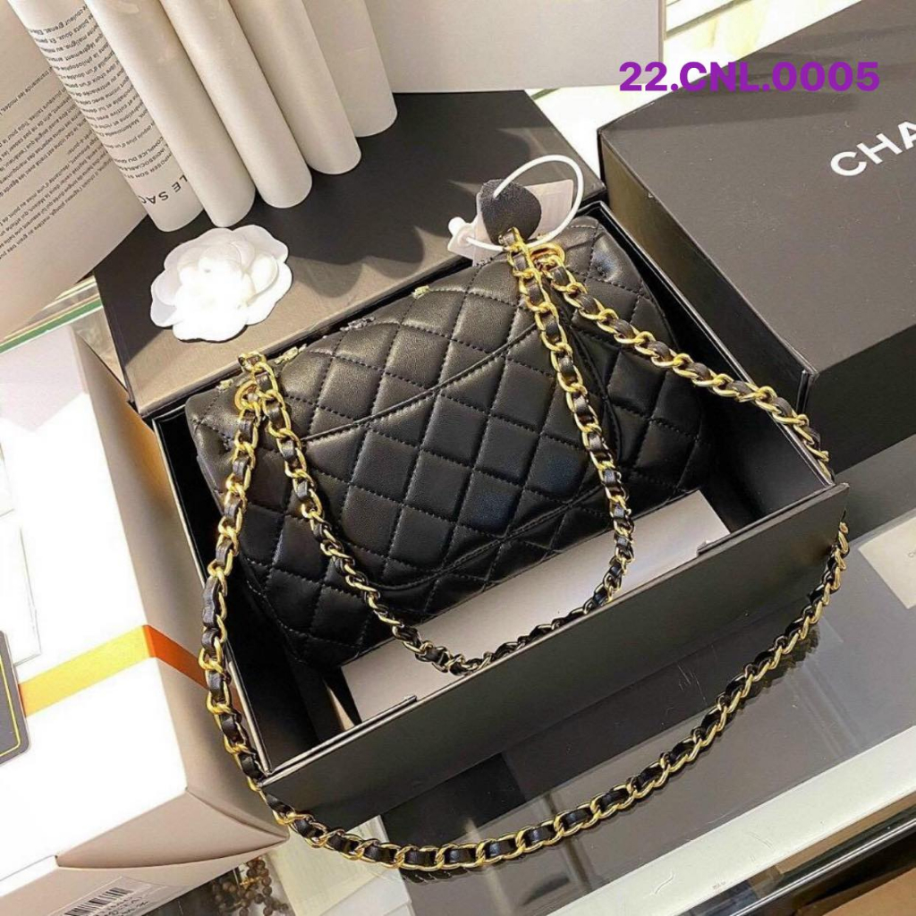 Túi xách nữ. Mã 22.CNL.0005