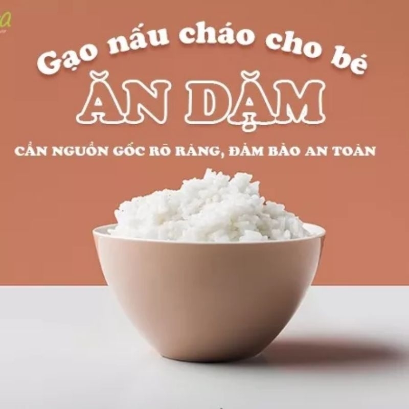 Gạo trắng hữu cơ Japonica Hoa Sữa Food 1Kg nấu cháo/cơm ăn dặm cho bé | BigBuy360 - bigbuy360.vn