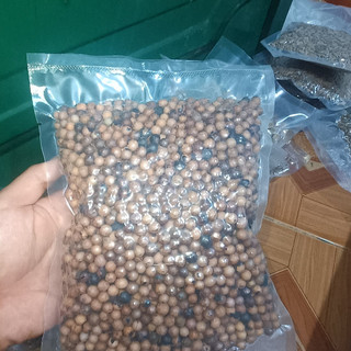 100gram hạt giống cây đàn hương
