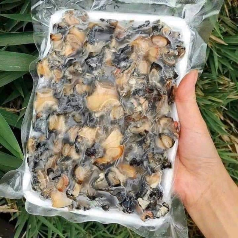 Khay 500gr Ruột Ốc Bươu làm sạch tách sẵn