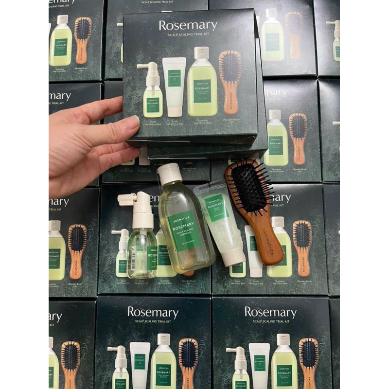 Set chăm sóc tóc rụng yếu Aromatica rosemary