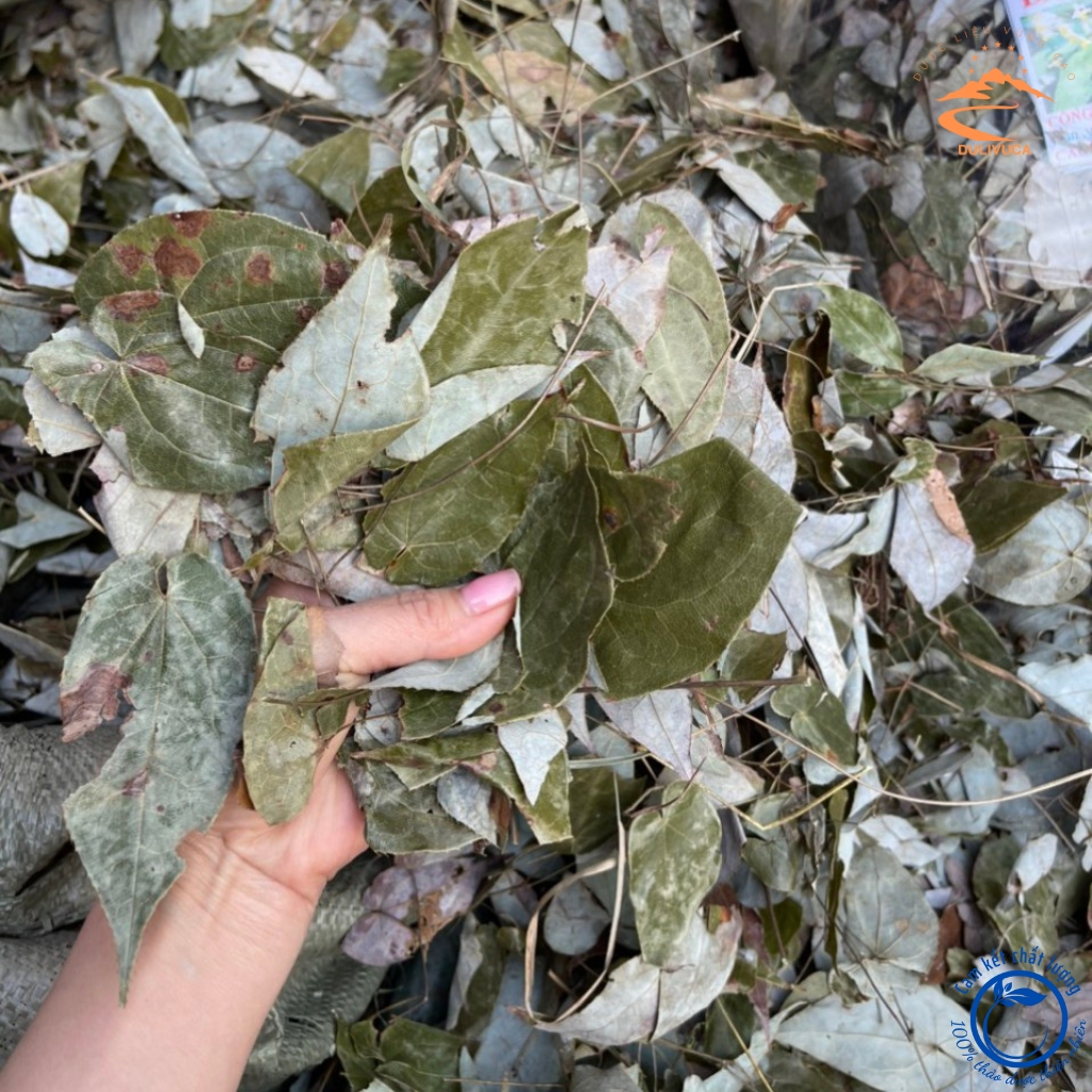 Lá dâm dương hoắc khô Tây Bắc loại 1 thượng hạng giúp bổ thận, tráng dương, tăng cường sinh lực cho nam giới