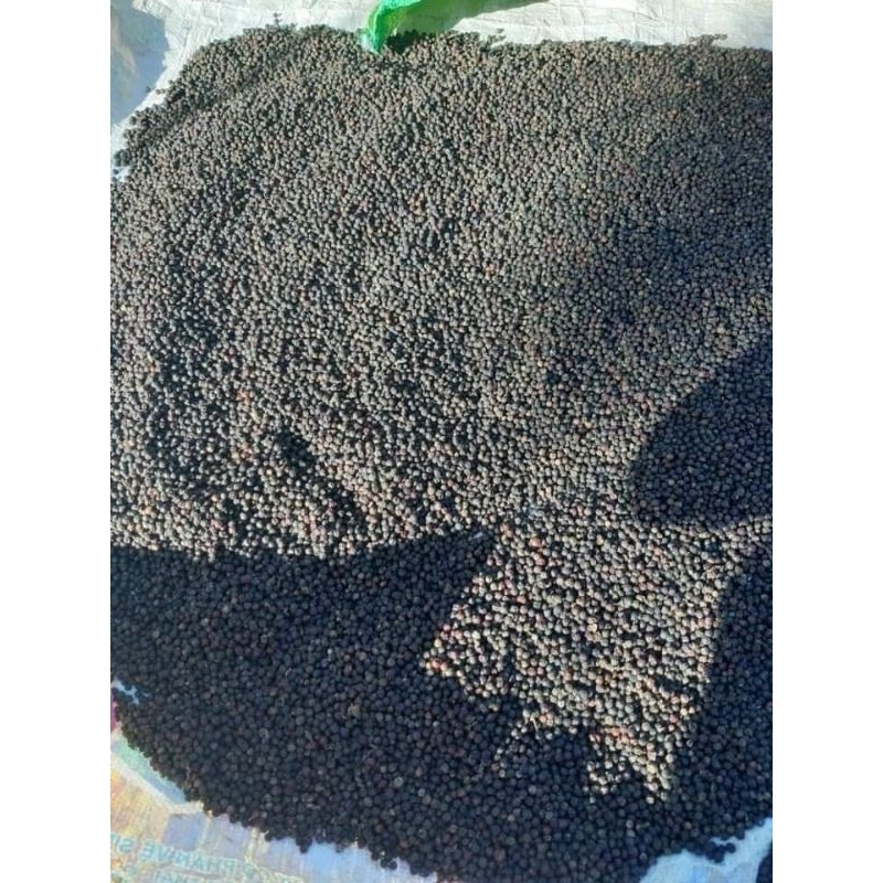 Hạt tiêu rừng Măng Đen Túi 500 g /1 Kg