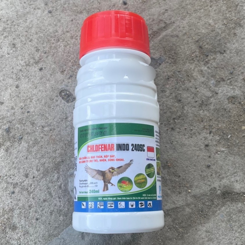 Thuốc trừ sâu Kosho Chlorfena 240SC- chim sâu 240sc 240ml AgriHG