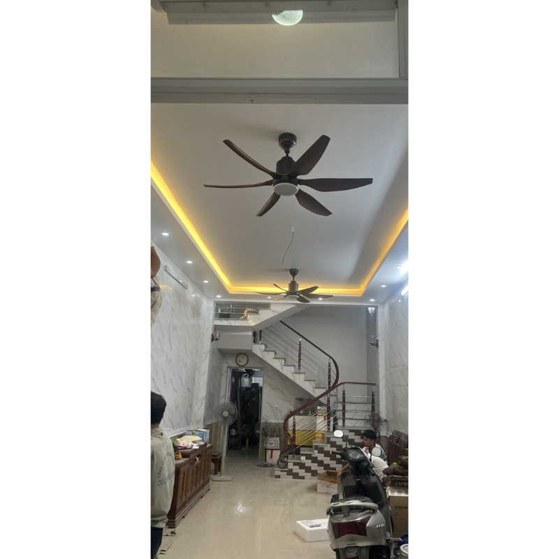 Quạt trần đèn cao cấp 6 cánh ASIA QT12 - Sải cánh 1370