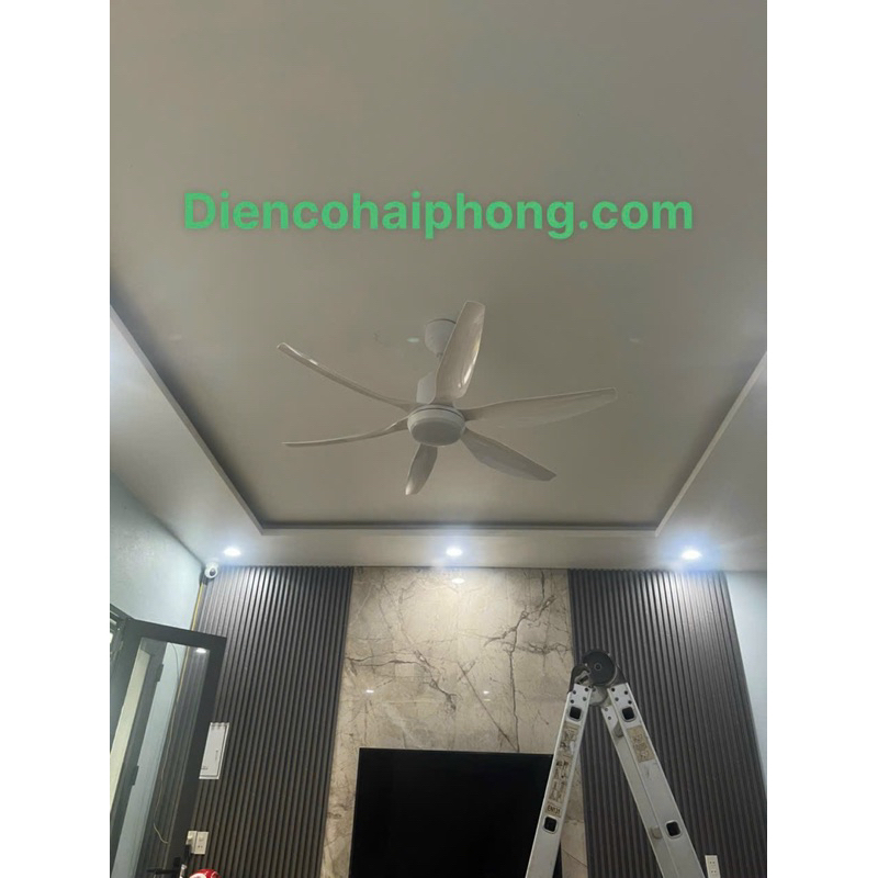 Quạt trần đèn cao cấp 6 cánh ASIA QT12 - Sải cánh 1370
