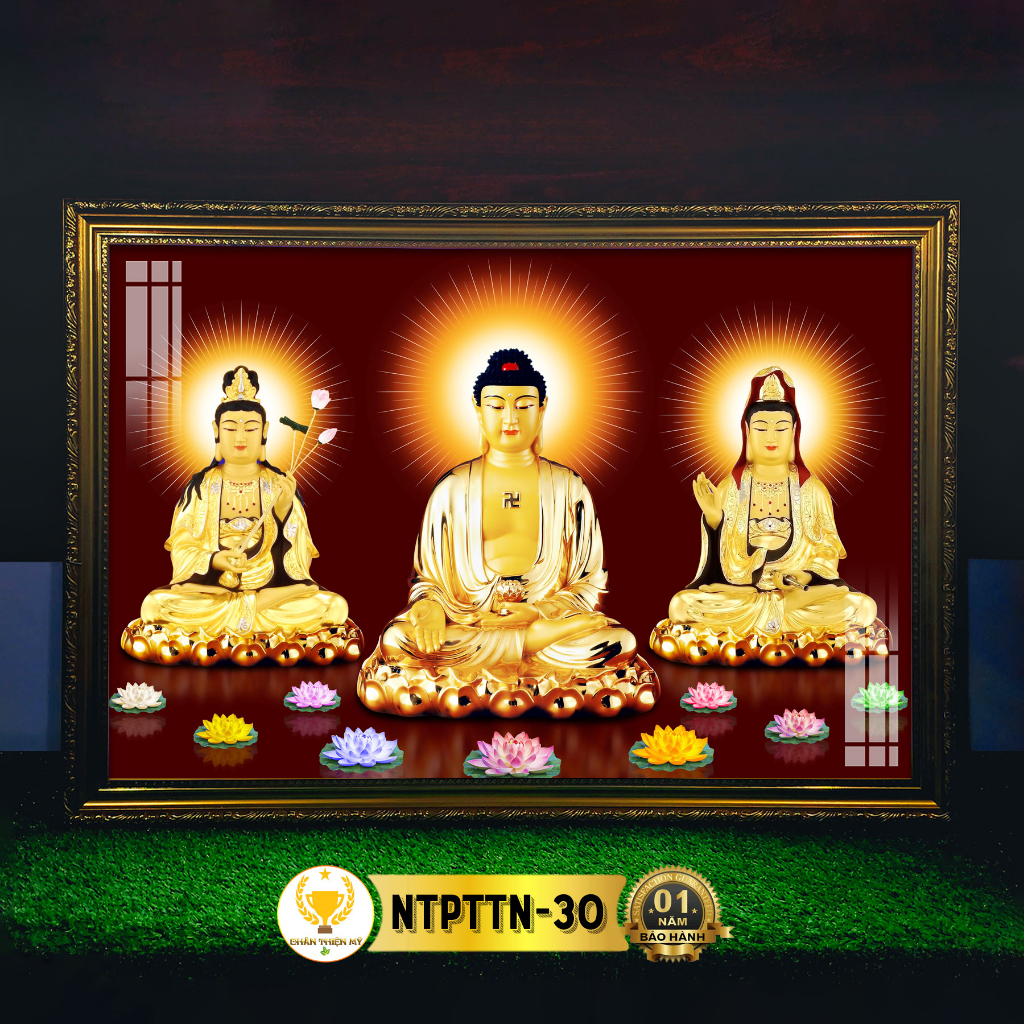 Tranh Thờ Tam Thánh Phật Ngồi Có Đèn CHÂN THIỆN MỸ, Trang Trí Bàn Thờ Treo Tường Cùng Tượng Phật NTPTTN-30