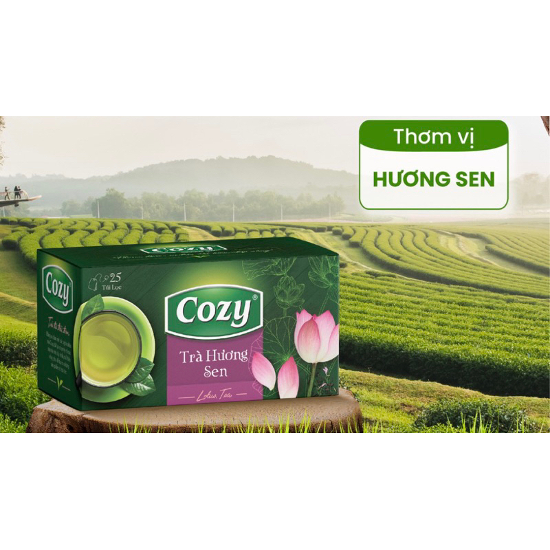 TRÀ XANH - SEN - NHÀI - GỪNG - CÚC TÚI LỌC