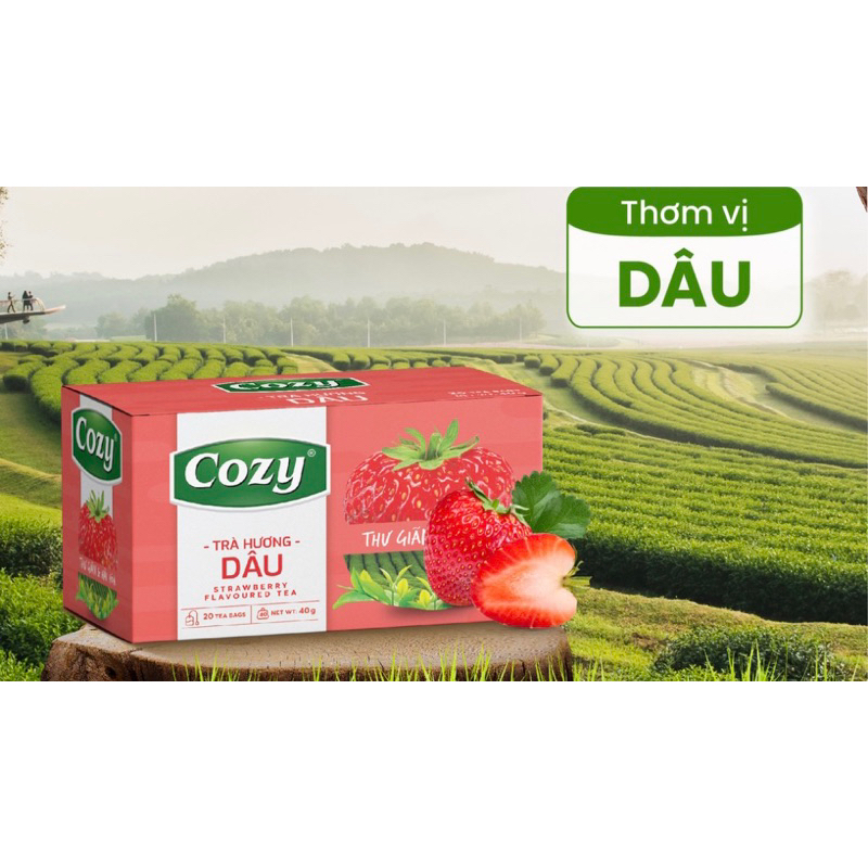 Trà Đào Cozy Túi Lọc 50gr/25 tép
