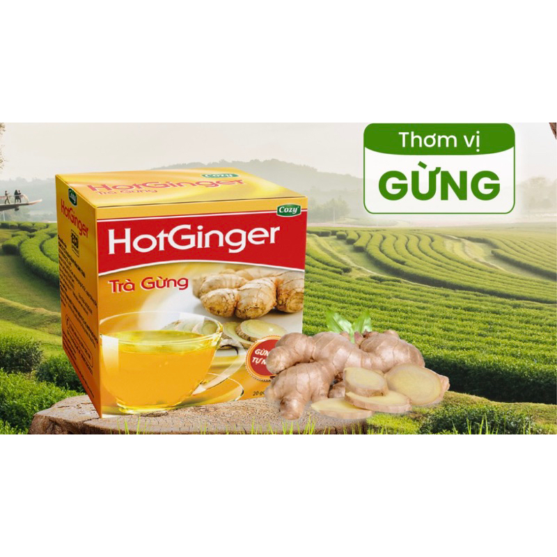 TRÀ XANH - SEN - NHÀI - GỪNG - CÚC TÚI LỌC