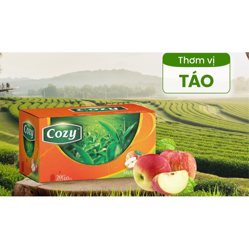 Trà Đào Cozy Túi Lọc 50gr/25 tép