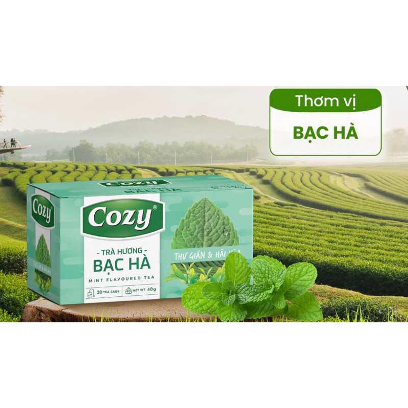Trà Đào Cozy Túi Lọc 50gr/25 tép