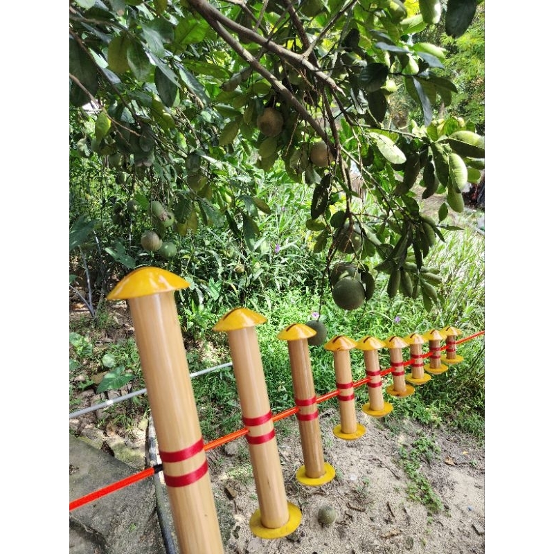 Hoà còi d40 hàng đẹp