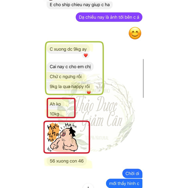 THẢO DƯỢC HƯƠNG THẢO