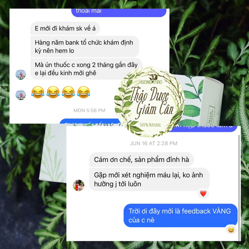 THẢO DƯỢC HƯƠNG THẢO