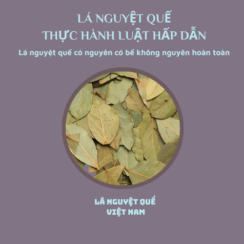 Lá nguyệt quế thực hành luật hấp dẫn 20g - 50G kèm 1 viên nến bơ thực vật Lá nguyệt quế 20g - 50G