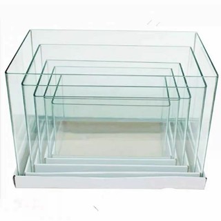 Hồ kính nuôi cá tép, thuỷ sinh đúc uốn cong cạnh - mài vi tính | bể đúc thủy sinh, bể nuôi cá tép