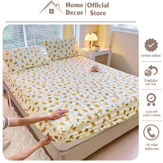 Bộ ga gối cotton đũi xơ đậu nành bo chun , ga gối bọc chun trần bông đũi cotton mềm mại thoáng khí